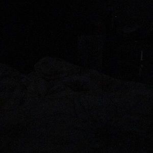 Meet your Posher, Ami